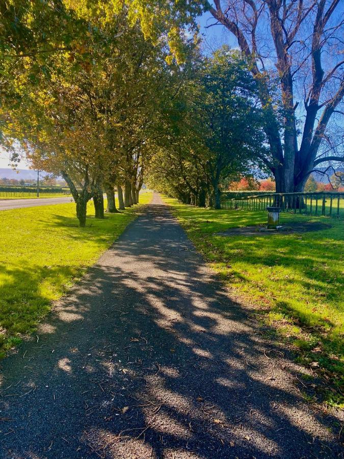 Matamata Country B&B エクステリア 写真