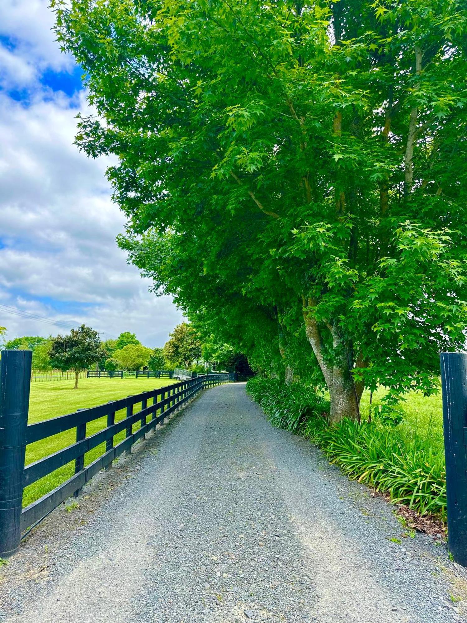 Matamata Country B&B エクステリア 写真