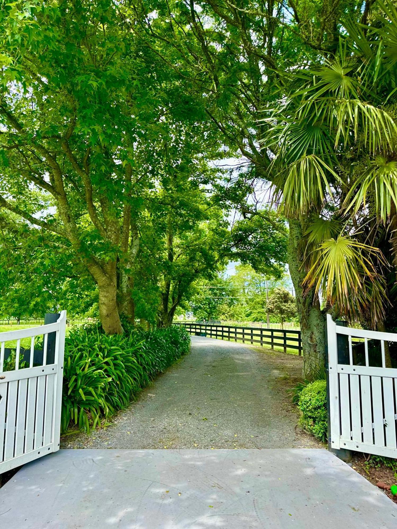 Matamata Country B&B エクステリア 写真